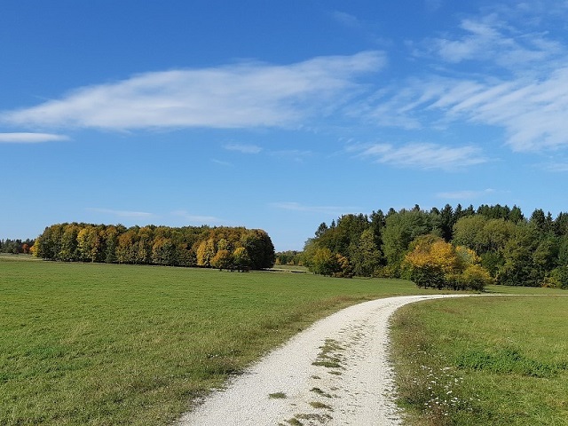 Im Herbst 2019 (12)